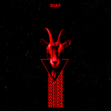 DIAF - WEIDA – Bild 1