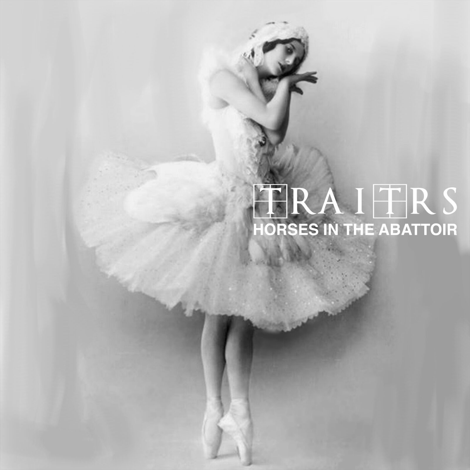 TRAITRS - HORSES IN THE ABATTOIR