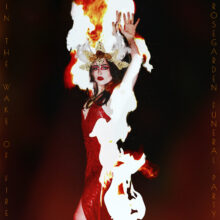 Rosegarden Funeral Party - In the wake of fire – Bild 1