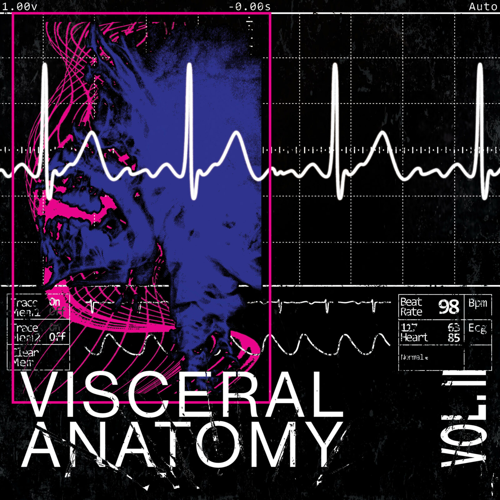 VISCERAL ANATOMY - Vol.2