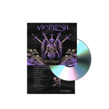 Vioflesh - Nostalgia – Bild 3