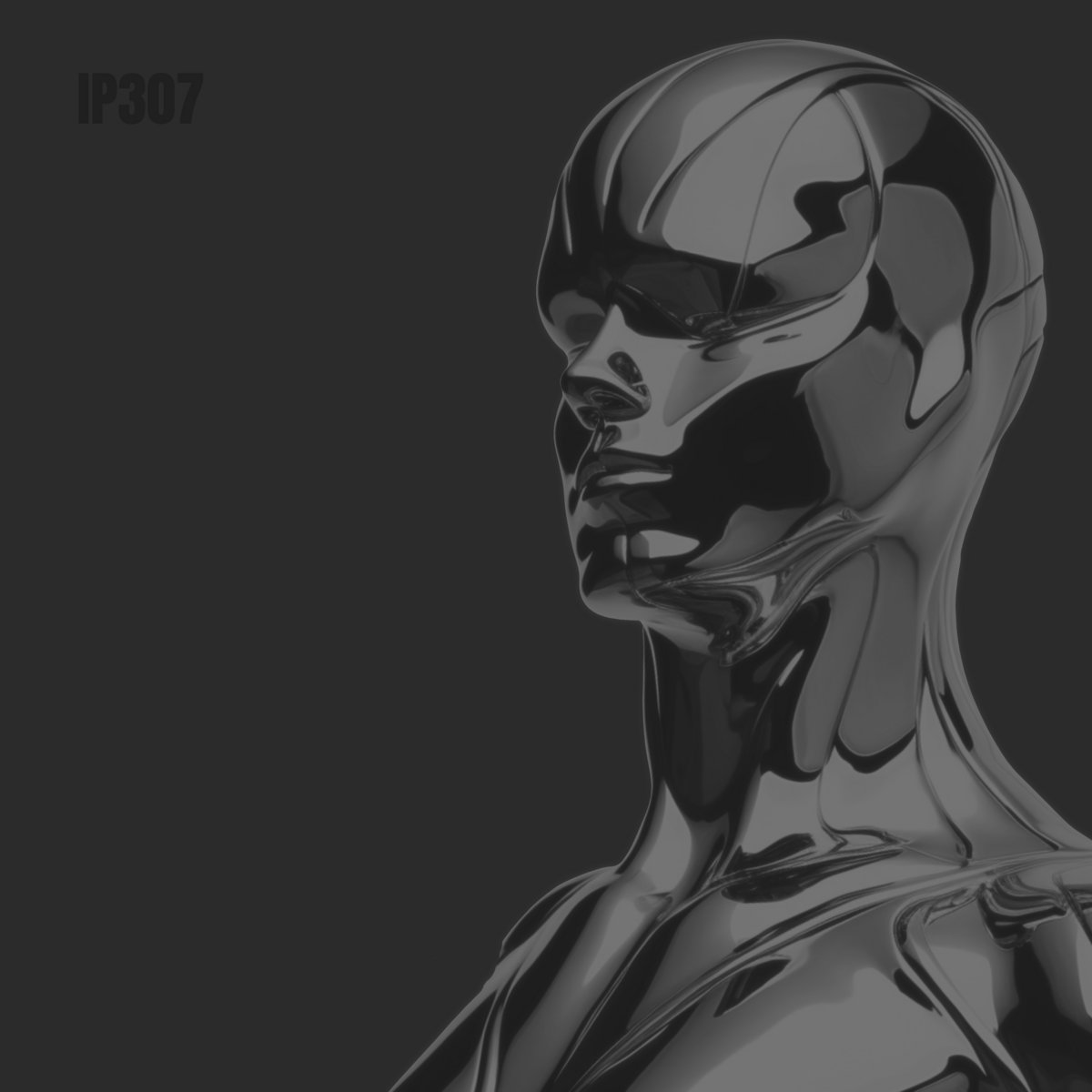 IP307 - IP307.1